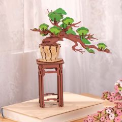Rolife Evergreen Pine Bonsai DIY Wooden 3D Puzzle TG510