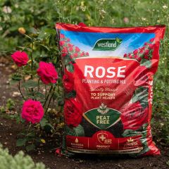 Westland Rose Planting & Potting Peat Free Mix 50l
