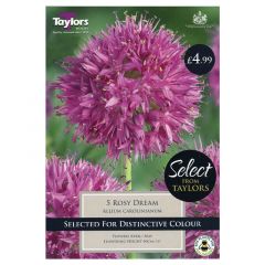 Allium Carolinianum Rosy Dream 5 Pack - Taylor's Bulbs