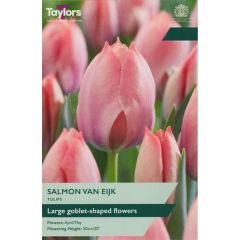 Taylors Bulbs Tulip Salmon Van Eijk