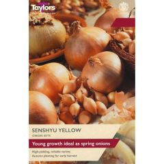 Taylors Bulbs Onion Senshyu Yellow