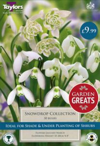 Snowdrop Collection 30 Pack - Taylor's Bulbs