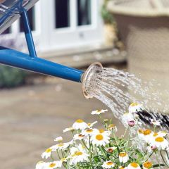 Smart Garden Watering Can Spray 4.5l Rose