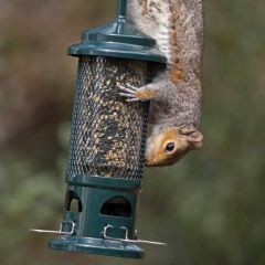 Jacobi Jayne The Squirrel Buster® Bird Feeder