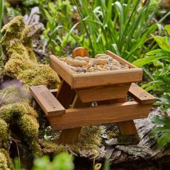 Tom Chambers Squirrel Picnic Place (FSC)