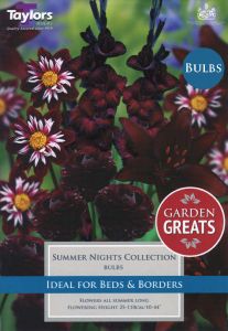 Summer Nights Collection 25 Pack - Taylor's Bulbs