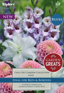 Chill Out Collection - Taylor's Bulbs