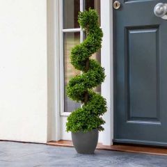 Topiary Twirl 90 cm  - Smart Garden
