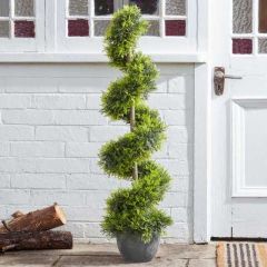 Cypress Topiary Twirl 120 cm - Smart Garden