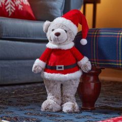 Smart Garden Teddy Santa