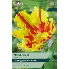 Taylors Bulbs Tulip Texas Flame