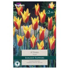 Tulip Tinka 8 Pack - Taylor's Bulbs