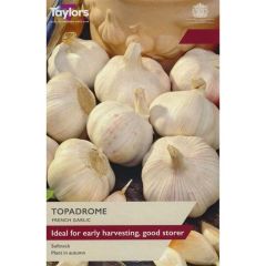 Taylors Bulbs French Garlic Topadrome