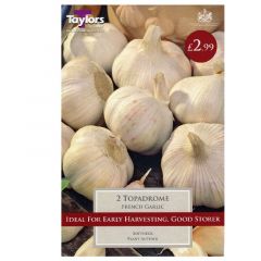 French Garlic Topadrome - Taylor's Bulbs