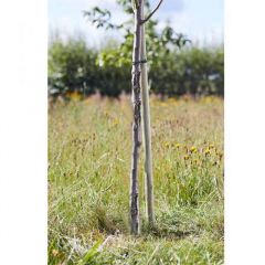 Tree Stakes - Softwood Round 120 cm - Smart Garden