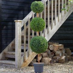 Smart Garden Trio Topiary Tree 150cm