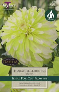 Dahlia Hollyhill Lemon Ice 1 Pack - Taylors Bulbs 