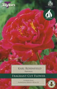 Paeonia Karl Rosenfield - Taylor's Bulbs