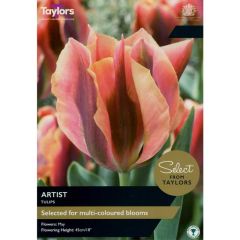Taylors Bulbs Tulip Artist