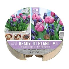 Kapiteyn Plant-O-Mat Tray Ø 24cm Tulipa & Muscari