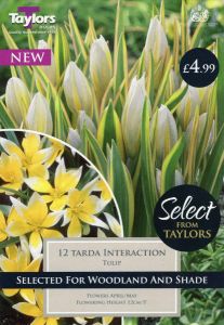 Tulip Tarda Interaction 6+ Selection