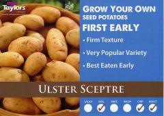 Potato Ulster Sceptre 2Kg - Taylor's Bulbs