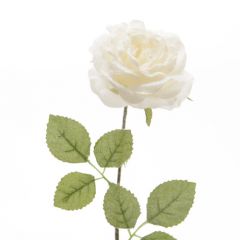 Rose Stem White 45cm - Kaemingk