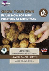 Potato Charlotte - Taylor's Bulbs