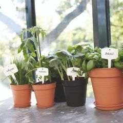 Elho Green Basics Plantlabels Small (set/5) - White