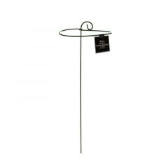 Tom Chambers Urban Garden Wrap Support Small