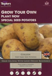 Taster Pack Potatoes Colleen 10 Pack - Taylor's Bulbs