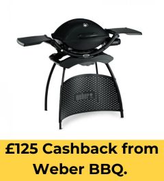 Weber® Q™ 2200 with Stand