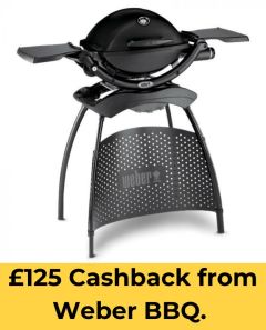 Weber® Q™ 1200 with Stand