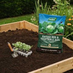 Westland Raised Bed & Vegetable Soil 40l