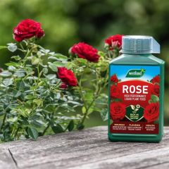 Westland Rose Specialist Liquid Feed 1L