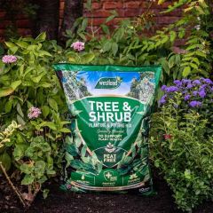 Westland Tree & Shrub Peat Free Mix 50l