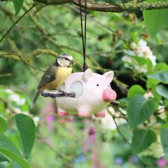 Wildlife World 'Curlie' Hanging Ceramic Pig With Nesting Wool