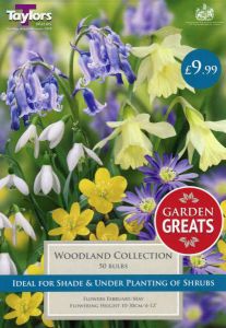 Woodland Collection 50 Pack - Taylors Bulbs