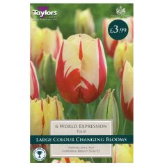 Tulip World Expression 6 Pack - Taylor's Bulbs