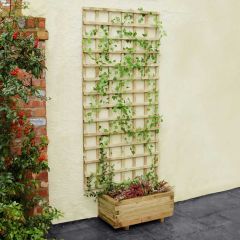 Zest Kingston Square Trellis 1.83m x 0.600m