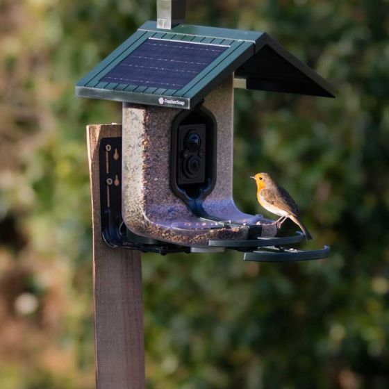 FeatherSnap Smart Bird Feeder
