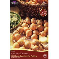 Shallot Golden Gourmet