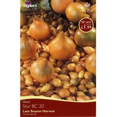 Onion Stur Bc 20