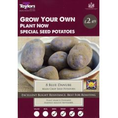 Blue Danube (Main Crop)