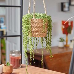 Smart Garden 6in The Weaver Basket