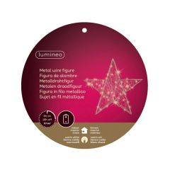 Wire Star 30 Micro LED Warm White 5x30x29cm - Kaemingk