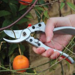 Wilkinson Sword RazorCut Comfort Bypass Pruner - Medium