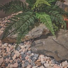 Altico Welsh Mist Rockery