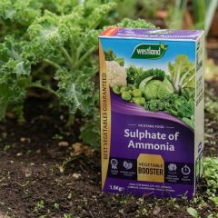 Westland Sulphate Of Ammonia 1.5kg
