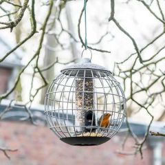 National Trust Athena Seed Guardian Feeder